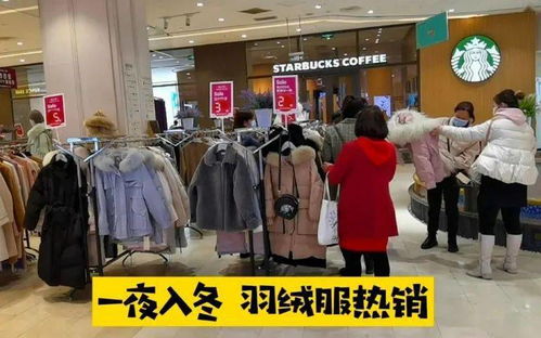 行情周報 肉鴨產業已經連續虧損20多個月 羽絨制品銷量突飛猛漲 增速超去年 羽絨服裝進出口統計 9月 略有回落